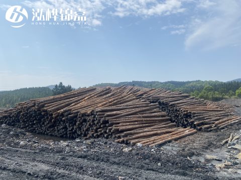 河道打樁為什么選擇松木樁來處理軟地基？-松木樁施工使用范圍