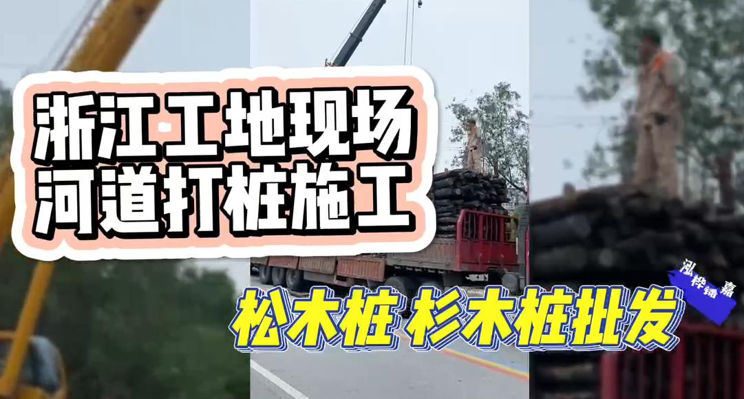 木樁廠(chǎng)家承接松木樁、杉木樁工地施工與批發(fā)視頻