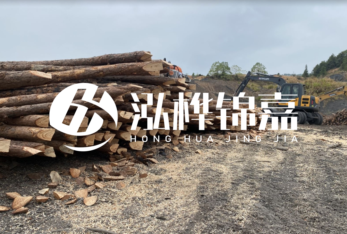 松木樁尾徑是什么意思？
