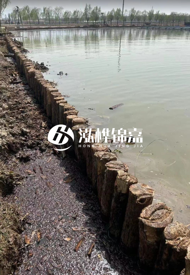 松木樁為什么要一根一根挨著打？秘密在這里！看完恍然大悟！