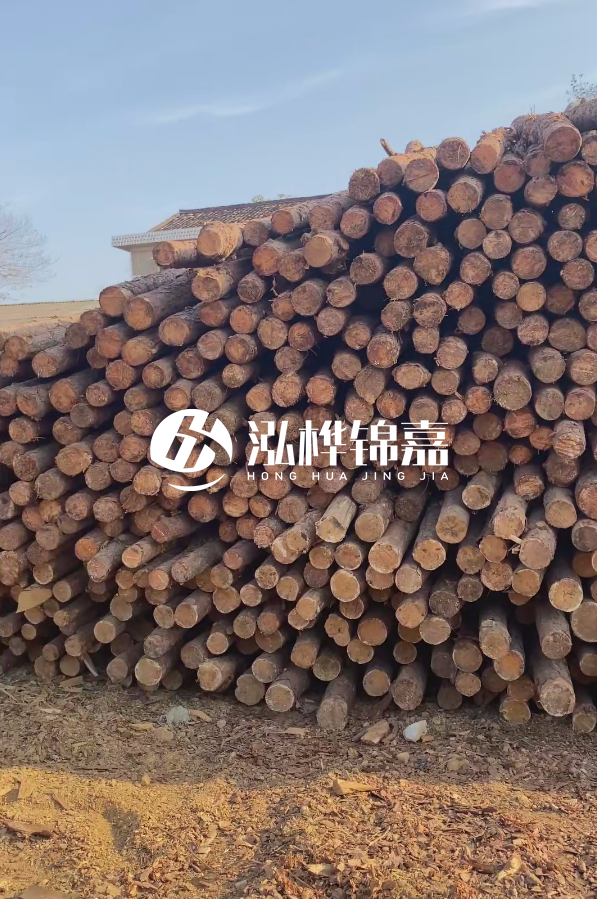 4米8-10公分松木樁大概多少錢一根？15公分價格又是多少？