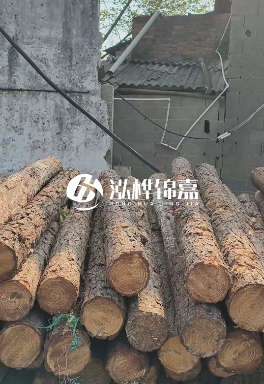 1.5米至2米長(zhǎng)松木樁價(jià)格表-10-12公分大概多少錢一根？