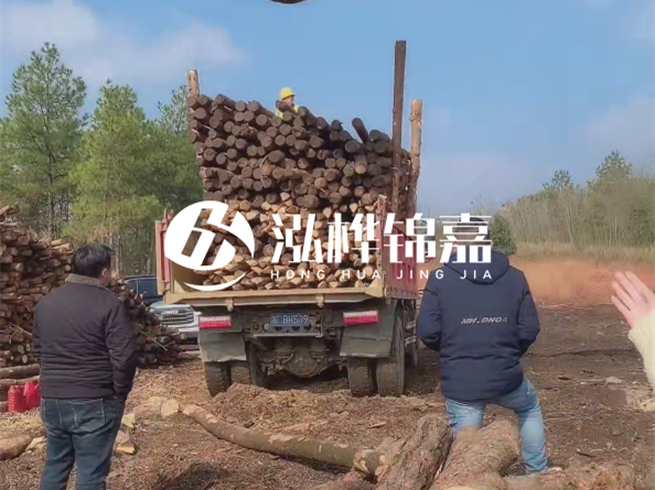 防腐木樁價格比普通木樁貴多少？防腐木樁有哪些處理方式？