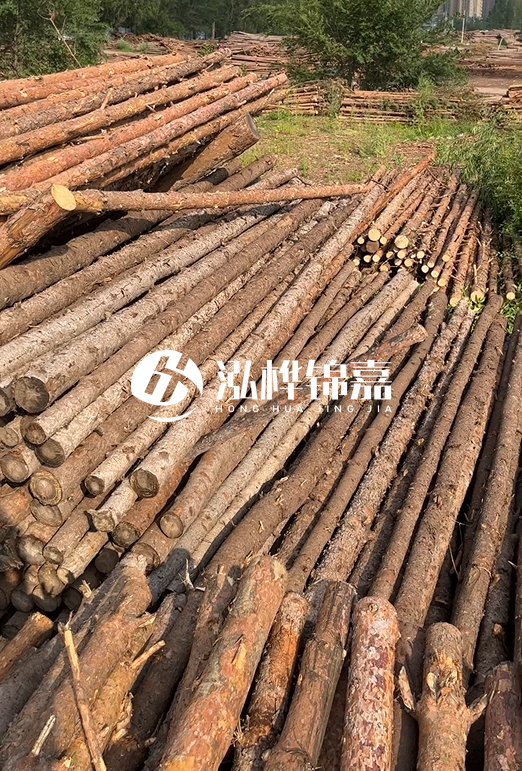 如何選擇合適的松木樁廠家？采購松木樁需要考慮的因素有哪些？