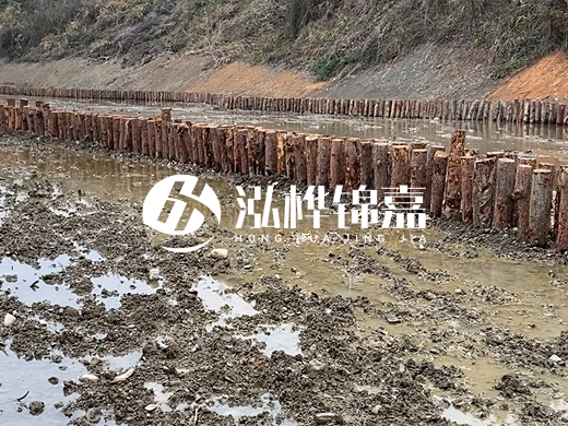 甘肅松木樁源頭廠家泓樺錦嘉-松木樁價格4米多少一根？