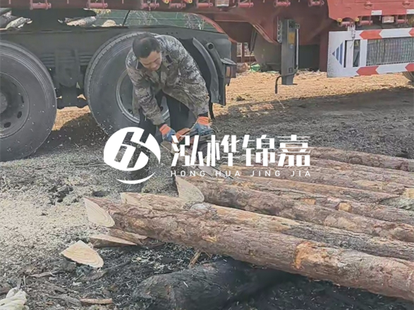 松木圓木價格大概多少一方-松木樁廠家按方可以賣嗎？