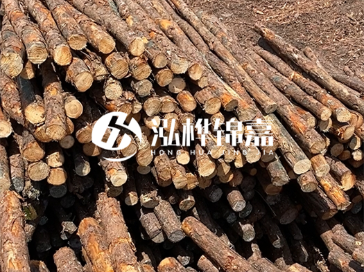 江西有哪些松木樁生產(chǎn)廠家？松木樁廠在什么位置？