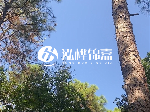 松木樁廠家的供貨能力強(qiáng)不強(qiáng)-怎么才能聯(lián)系到松木樁廠家？