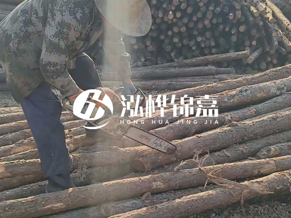 廣東打樁木源頭廠家泓樺錦嘉 - 如何選擇適合特定邊坡的松木樁？