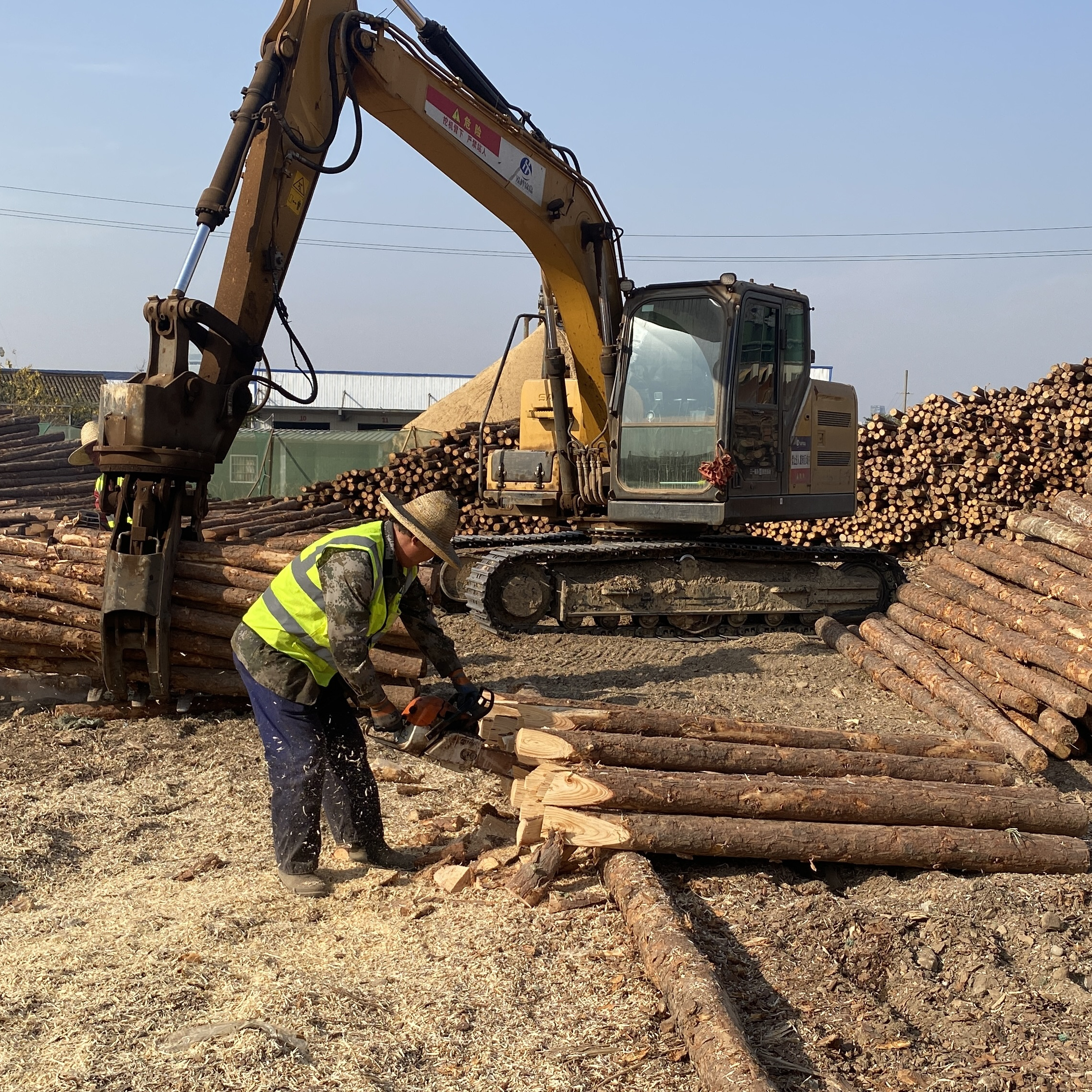 松木樁廠家泓樺錦嘉-工程打樁木選擇落葉松還是濕地松更耐腐蝕？