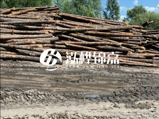松木樁施工隊(duì)泓樺錦嘉 - 木頭打樁護(hù)岸能用多長時(shí)間？