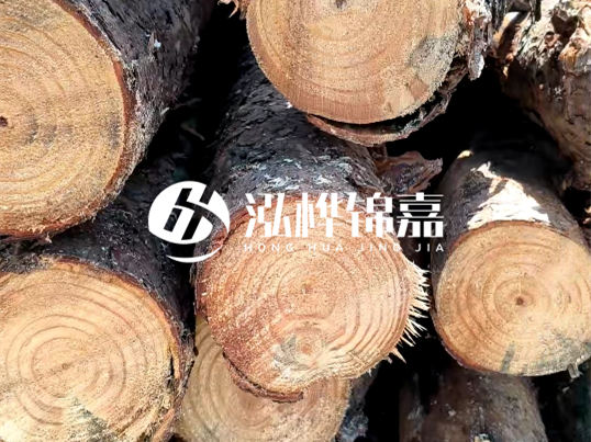 松木樁施工隊(duì)泓樺錦嘉 - 松木樁怎么檢測(cè)好壞？