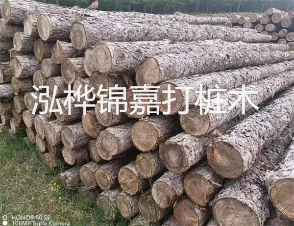 高效修補(bǔ)，保駕護(hù)航！水泥路面高強(qiáng)度修補(bǔ)料為您解決煩惱！