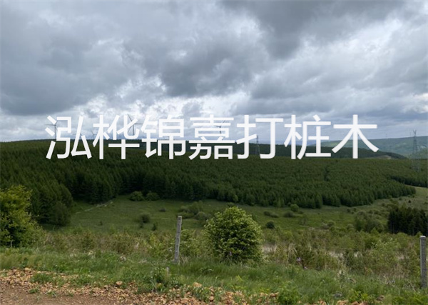 松木樁能重復施工么？