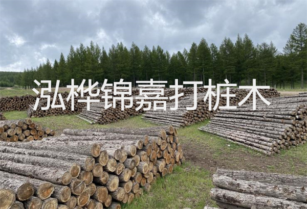 預(yù)制松木樁施工工藝：優(yōu)質(zhì)材料，高效快速，堅固耐用