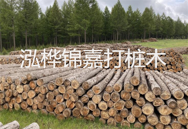 松木樁能施工嗎？探究視頻揭秘真相！
