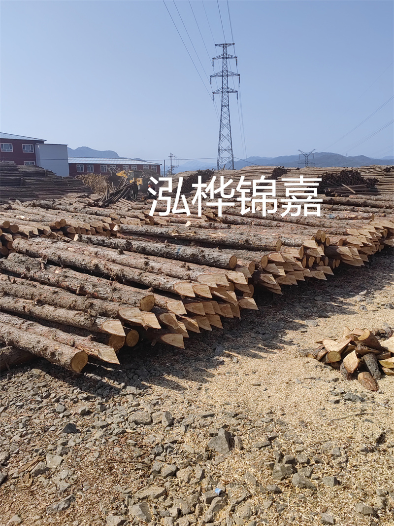 深入了解松木樁基礎施工單價，助力工程建設順利進行！