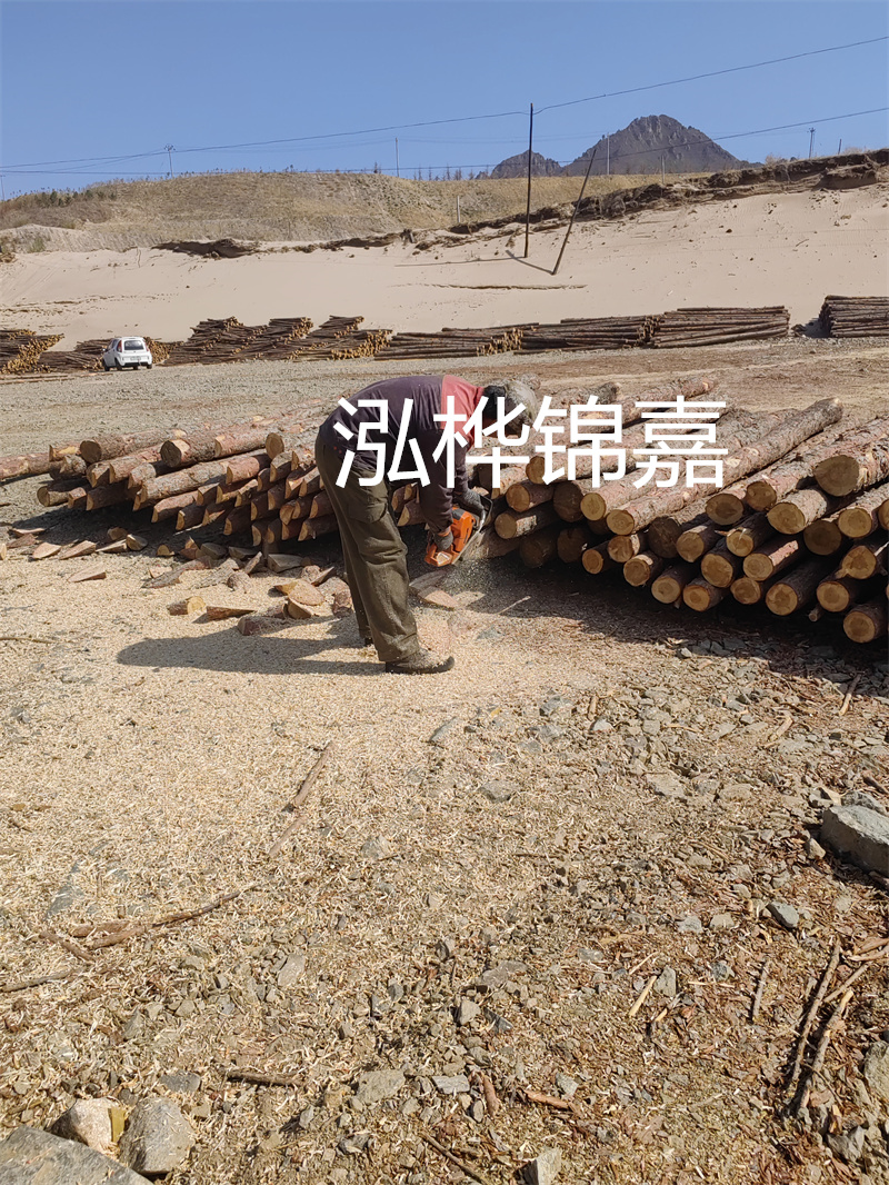 松木樁駁岸施工，打造水上風景線