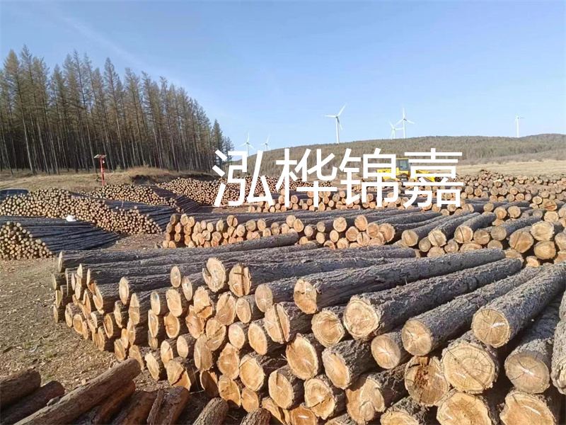 用路基松木樁施工方案提升工程質(zhì)量描述：了解路基松木樁施工方案的重要性，提高工程質(zhì)量關(guān)鍵詞：路基松木樁，施工方案，工程質(zhì)量