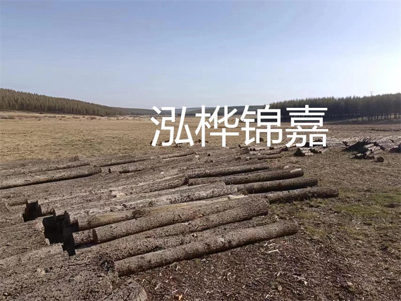鄂州松木樁哪里好？推薦泓樺錦嘉松木樁業(yè)！