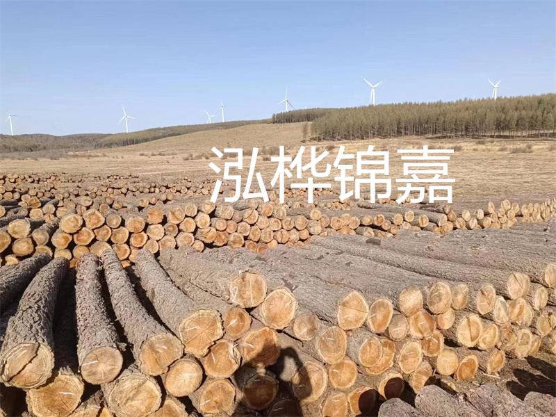 濟(jì)南哪里賣(mài)松木木樁？